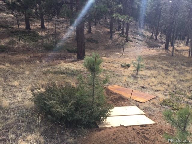 539 Hitchrack Road Bailey, CO 80421 - Photo 6 of 14 a view of a yard with wooden fence