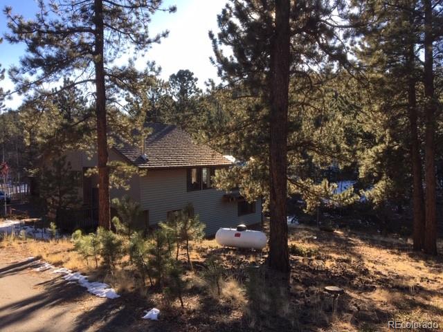 539 Hitchrack Road Bailey, CO 80421 - Photo 8 of 14 a view of a tree in front of a house