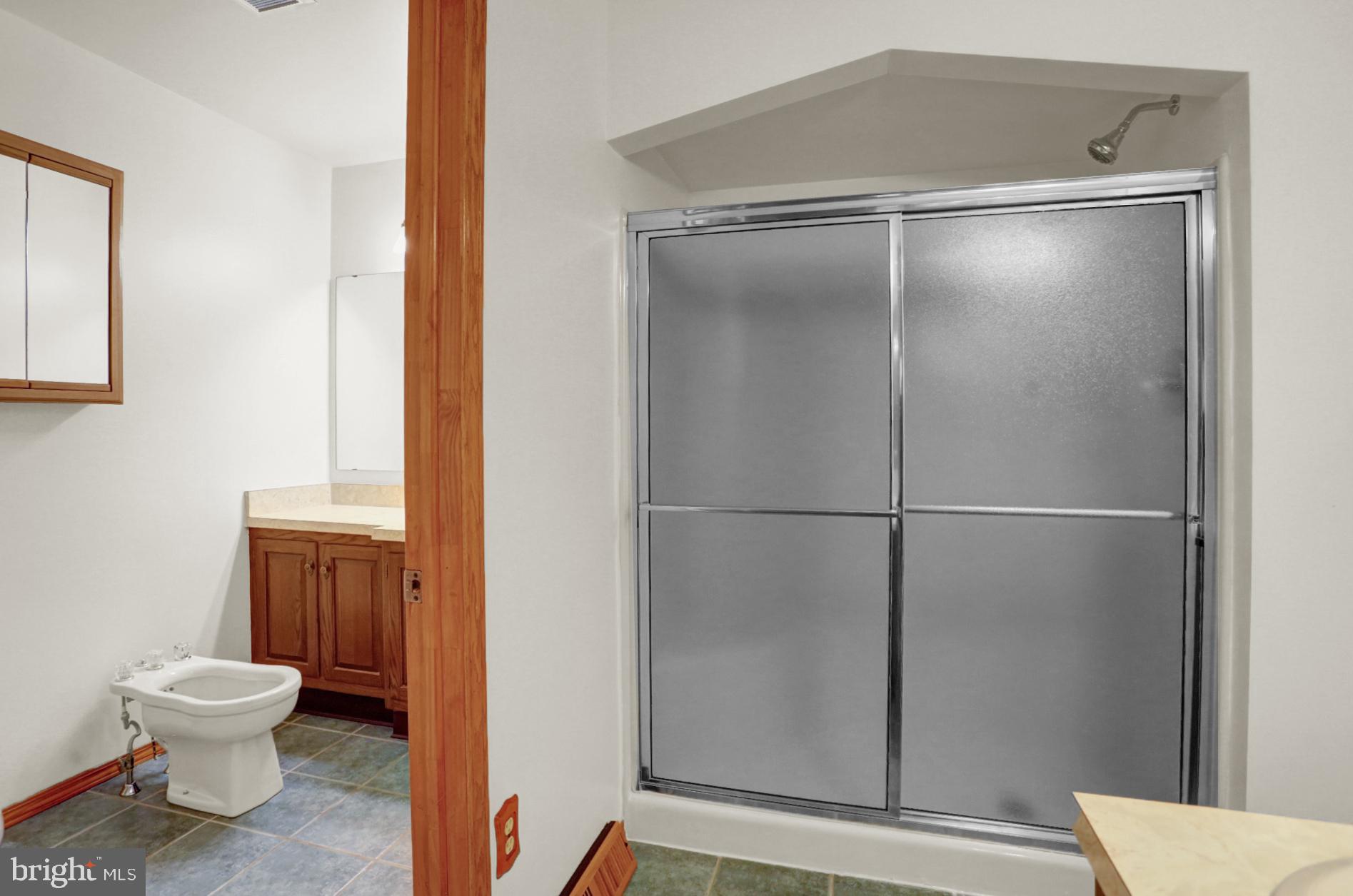 1800 Alsace Road Reading, PA 19604 - Photo 28 of 45 Main Bathroom w/New shower doors