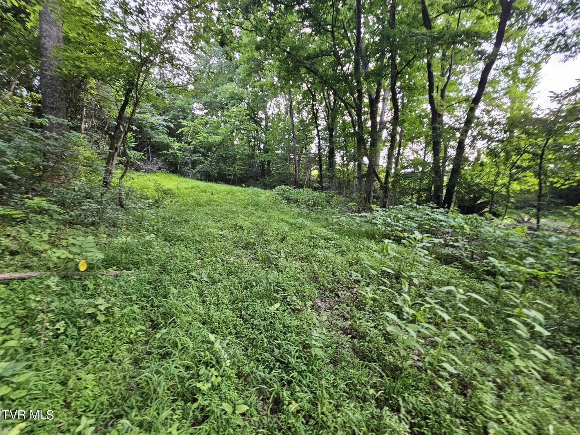 2264 Devault Bridge Road Piney Flats, TN 37686 - Photo 25 of 29 e8af8da5-3e4e-4037-9fc5-1942ec03f831