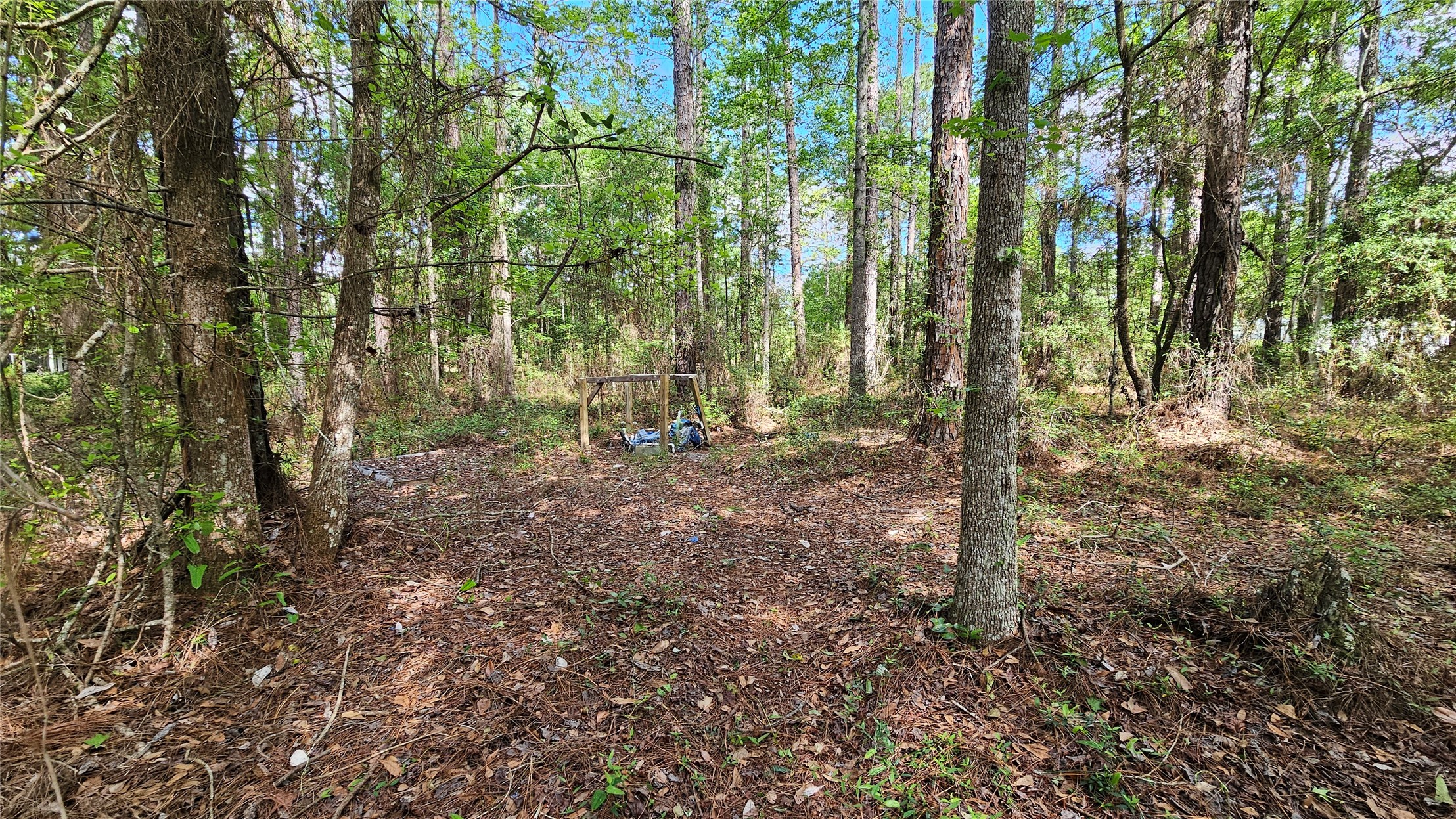 6324 Lannie Road Jacksonville, FL 32218 - Photo 21 of 60