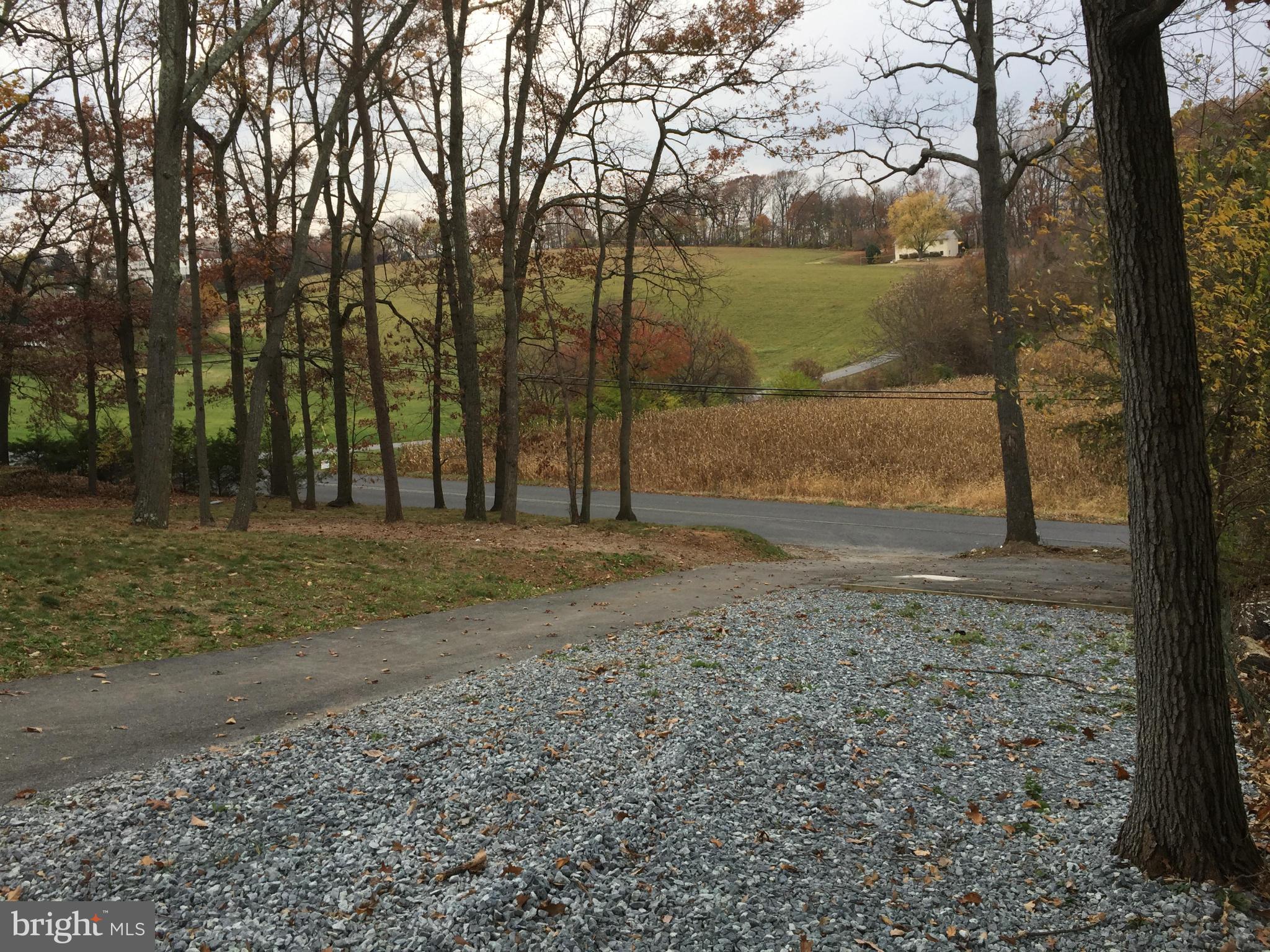 23813 Stringtown Road Clarksburg, MD 20871 - Photo 7 of 12 a view of a yard with a large tree