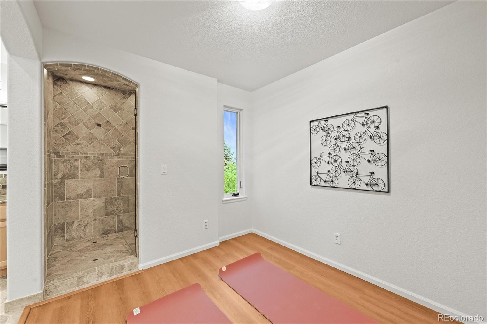 10235 Rustic Redwood Lane Highlands Ranch, CO 80126 - Photo 33 of 50 Gallery Image 33