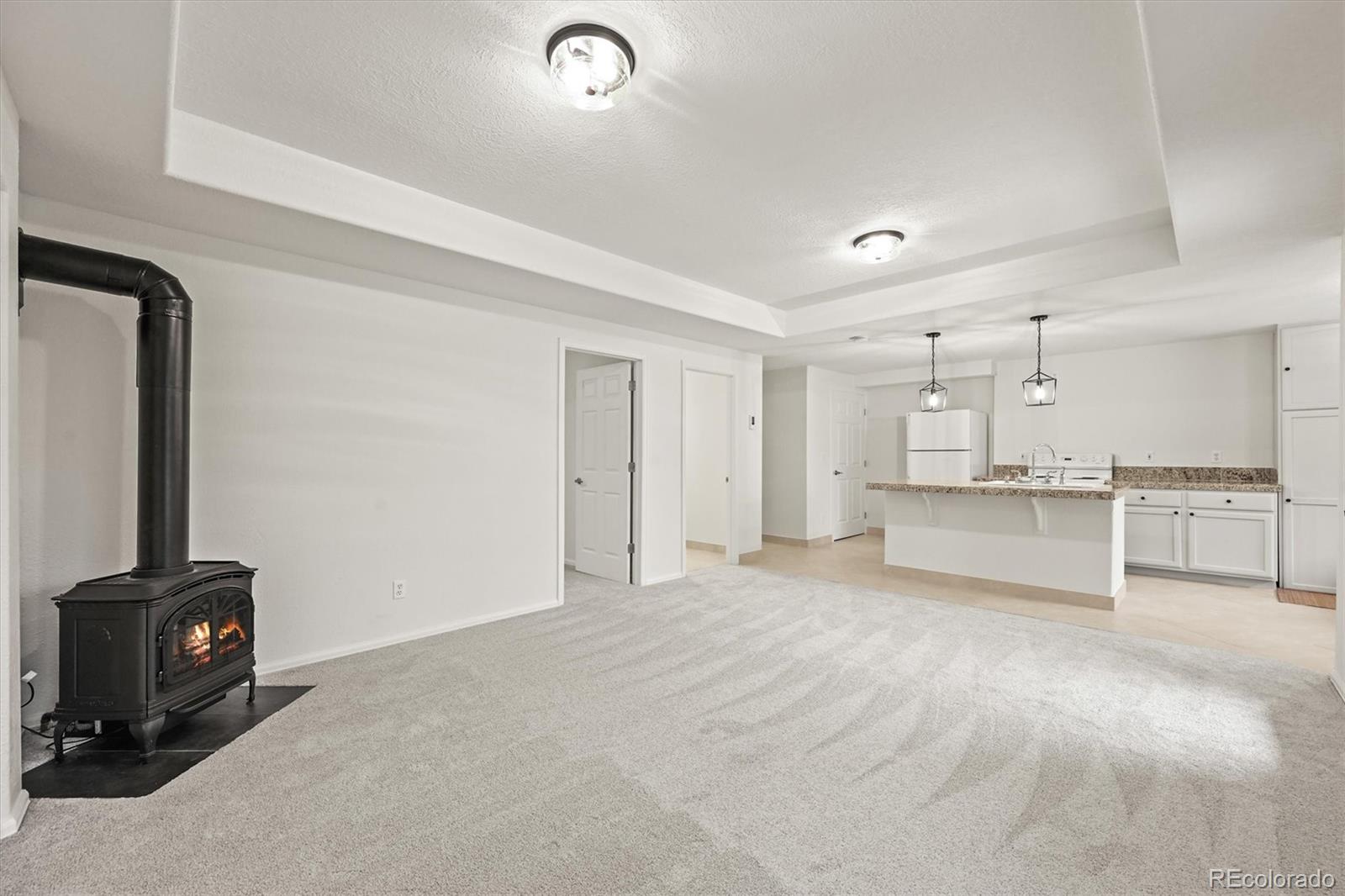 10235 Rustic Redwood Lane Highlands Ranch, CO 80126 - Photo 45 of 50 Gallery Image 45