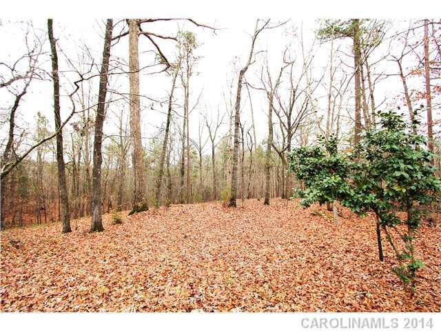 556 Rock Valley Road Peachland, NC 28133 - Photo 5 of 6