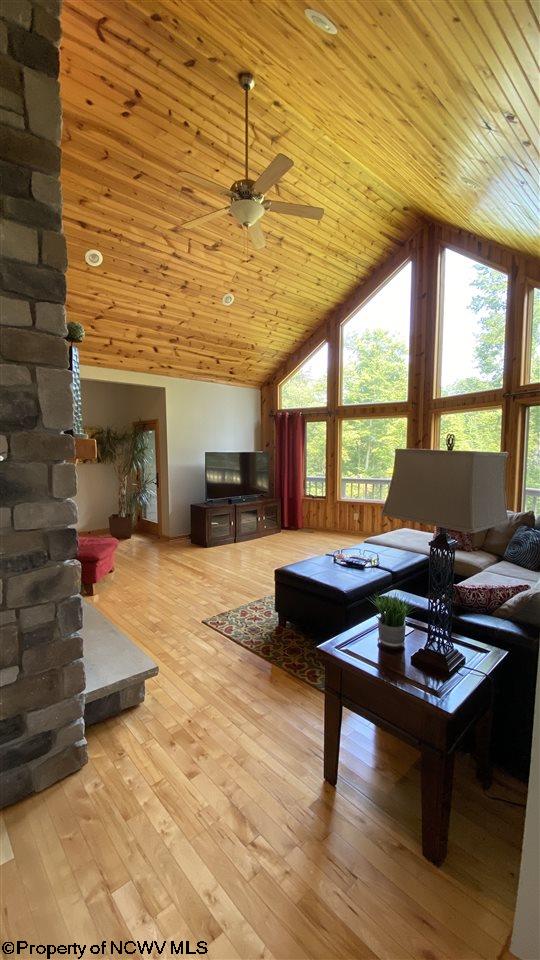 537 Lassiter Road Ellamore, WV 26267 - Photo 10 of 30 Gallery Image 10