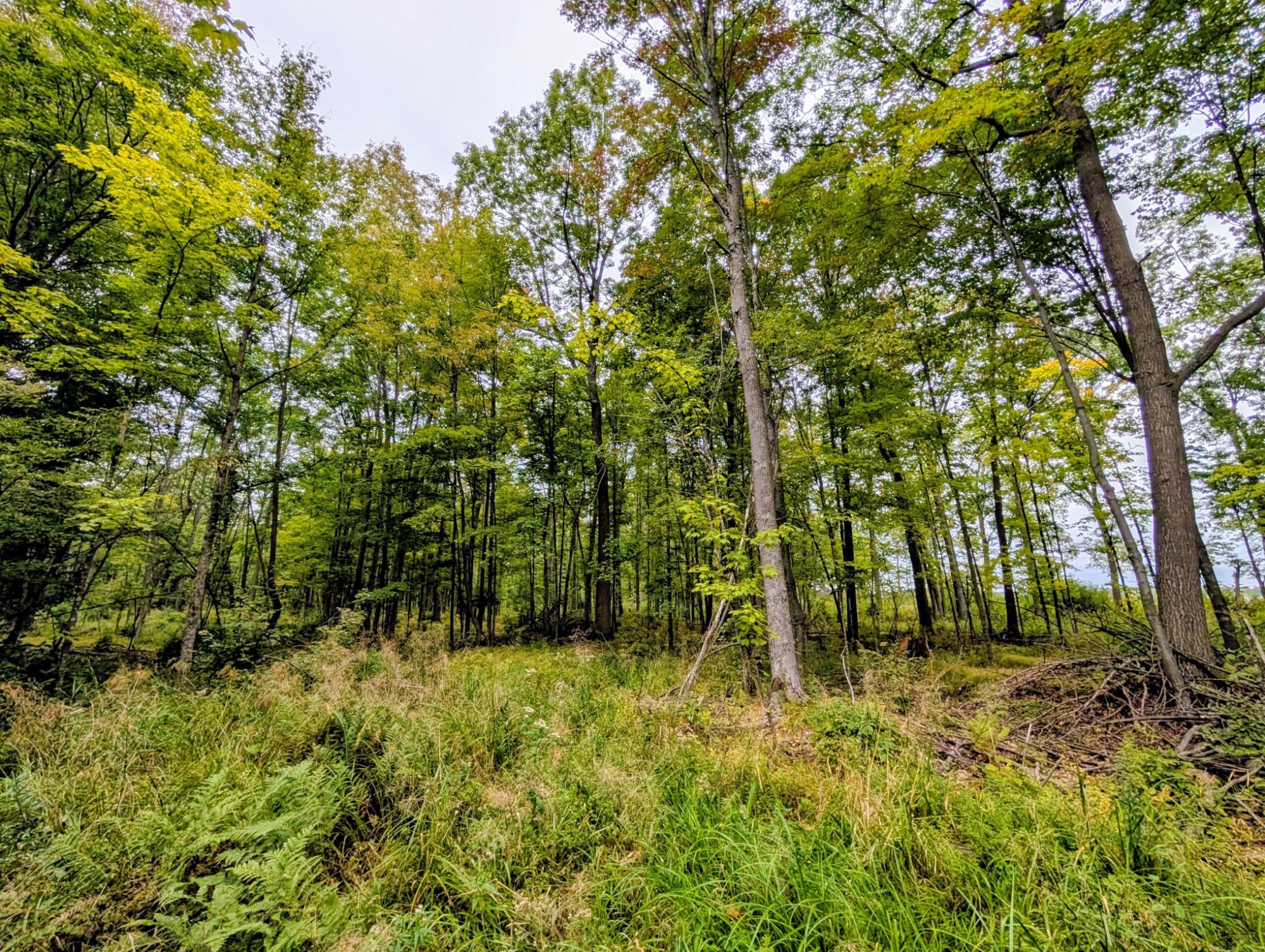 W10927 Midway Road Hawkins, WI 54530 - Photo 29 of 29 Gallery Image 29