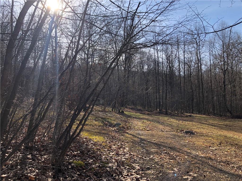 0 Dunbar Road Ohiopyle, PA 15470 - Photo 2 of 9 a view of a backyard of the house