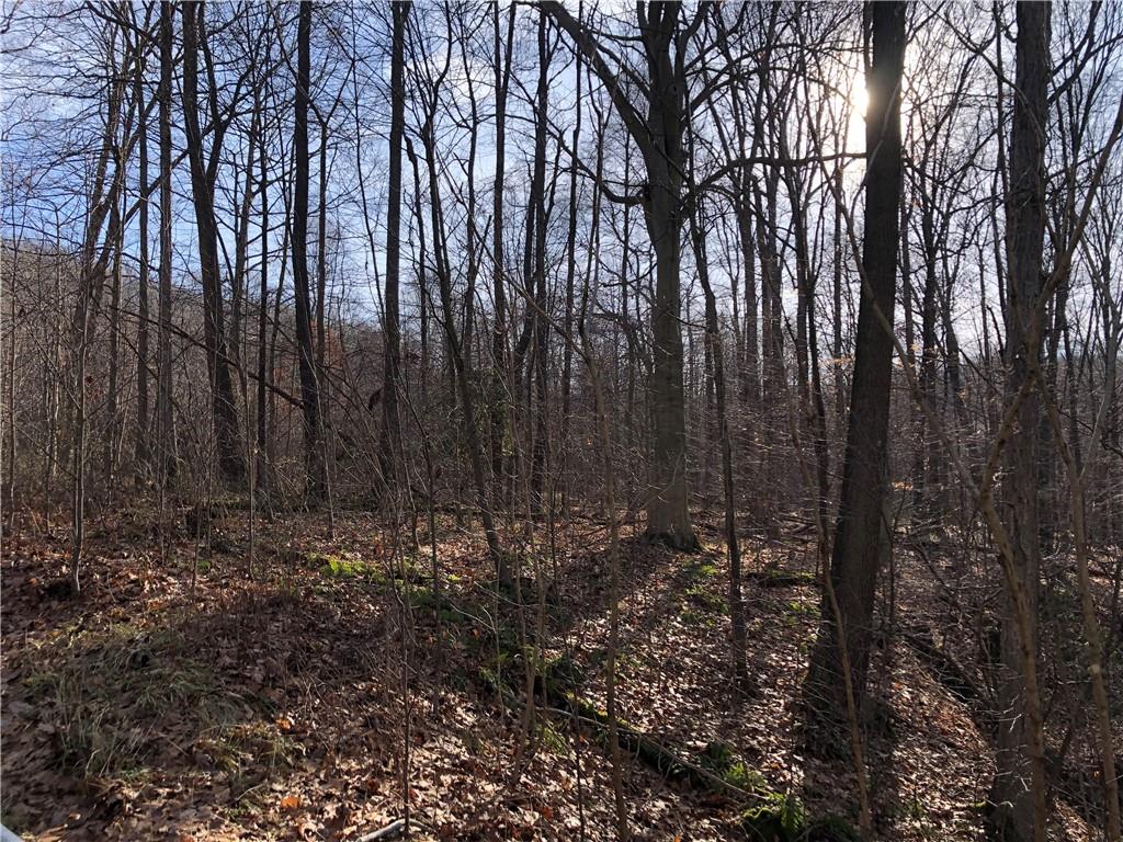 0 Dunbar Road Ohiopyle, PA 15470 - Photo 5 of 9 a view of lots of trees