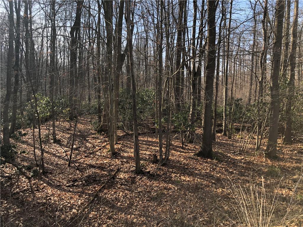 0 Dunbar Road Ohiopyle, PA 15470 - Photo 6 of 9 a view of outdoor space with lots of trees