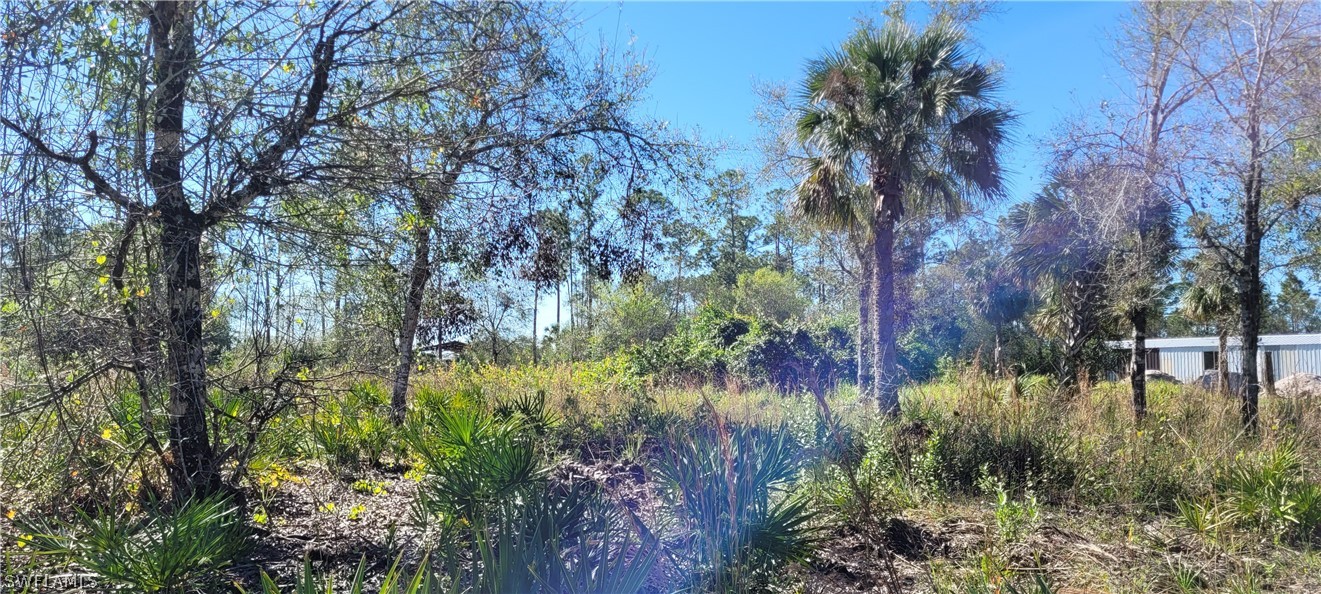 394 Kirby Thompson Road Fort Denaud, FL 33935 - Photo 15 of 47 Gallery Image 15
