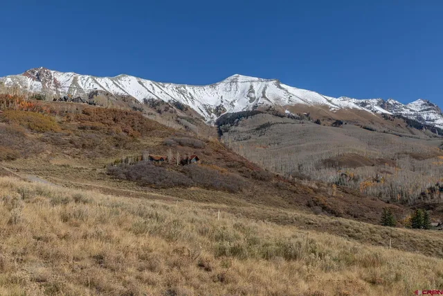 a view of a dry yard