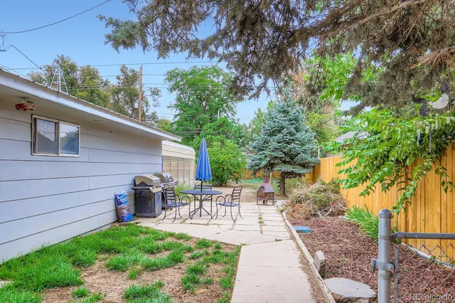 a view of backyard with tree