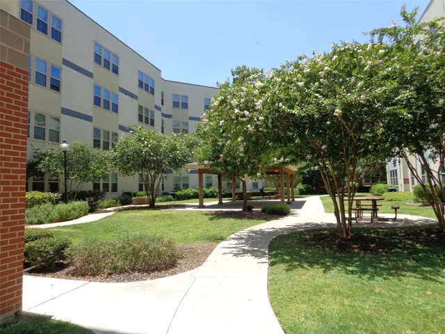 a view of a park with plants and trees