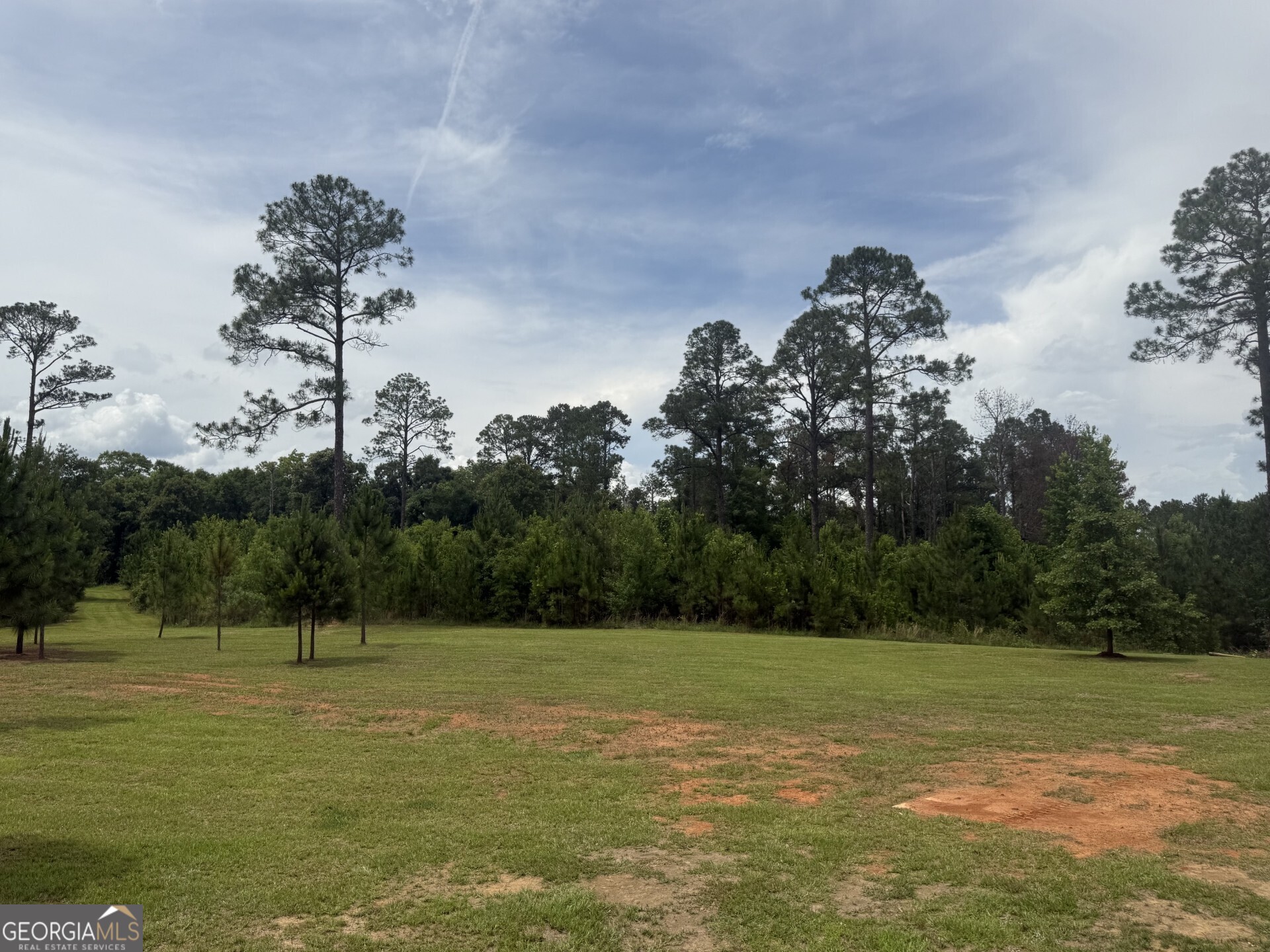 50 Harvest Road Coleman, GA 39836 - Photo 18 of 37 a view of a golf course with a lake