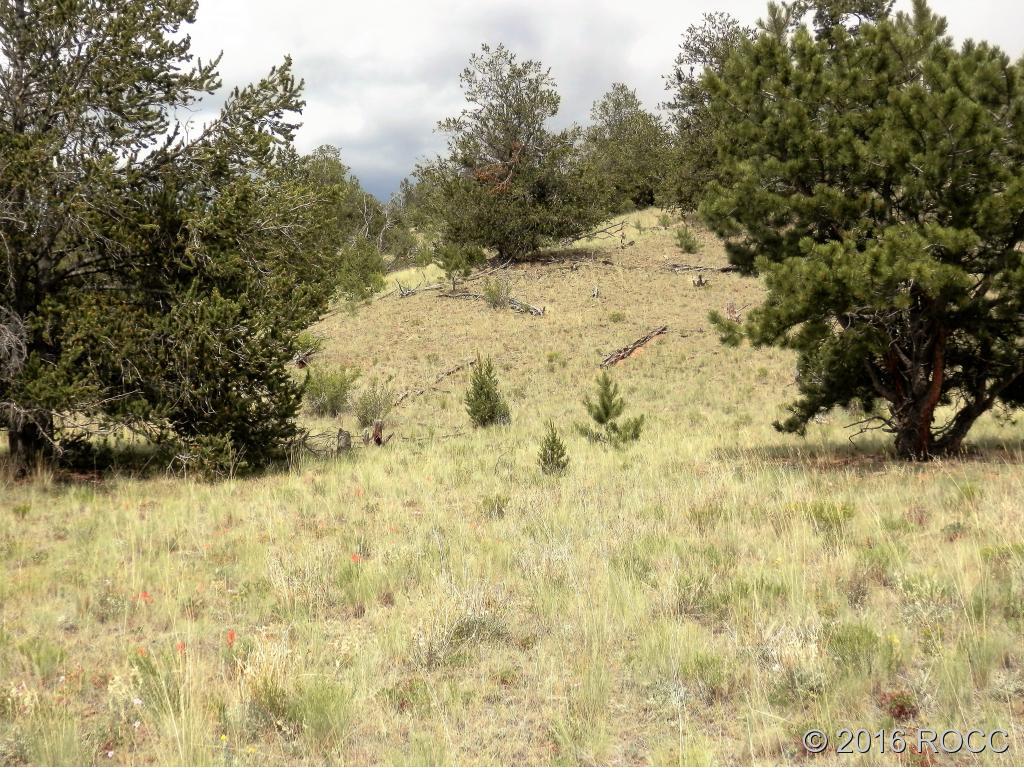 3228 Fitzsimmons Road Hartsel, CO 80449 - Photo 1 of 13