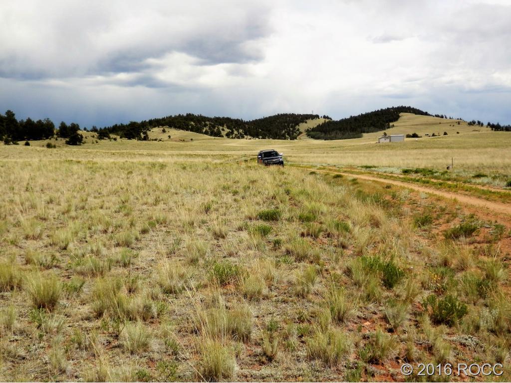 3228 Fitzsimmons Road Hartsel, CO 80449 - Photo 11 of 13