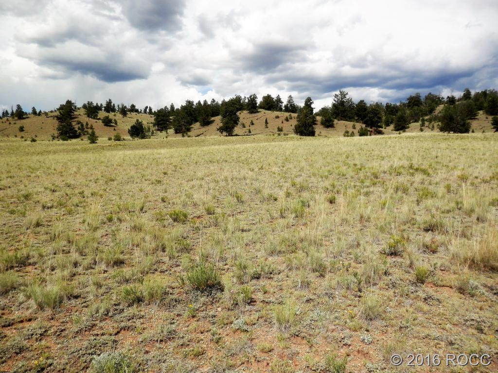 3228 Fitzsimmons Road Hartsel, CO 80449 - Photo 12 of 13