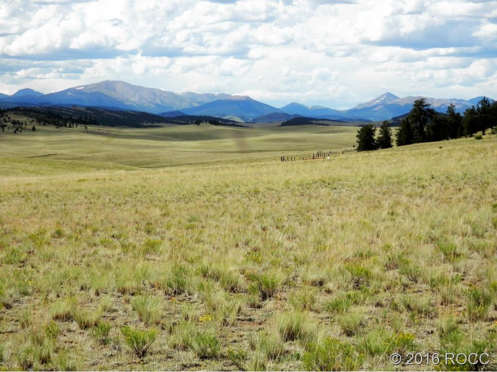 3228 Fitzsimmons Road Hartsel, CO 80449 - Photo 13 of 13