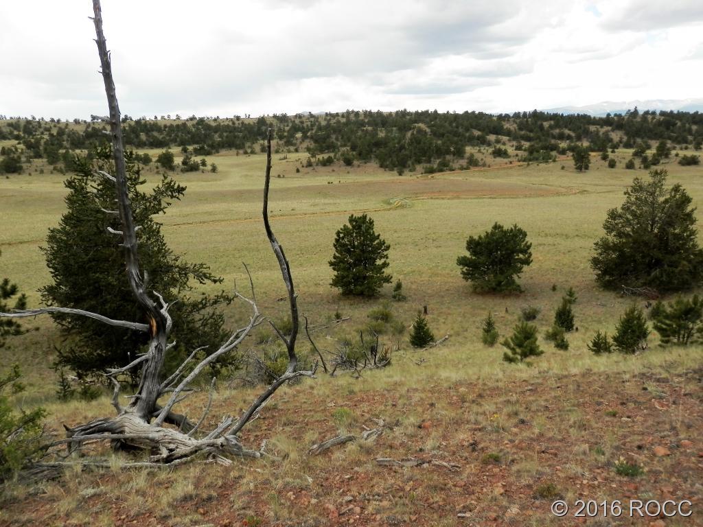 3228 Fitzsimmons Road Hartsel, CO 80449 - Photo 2 of 13