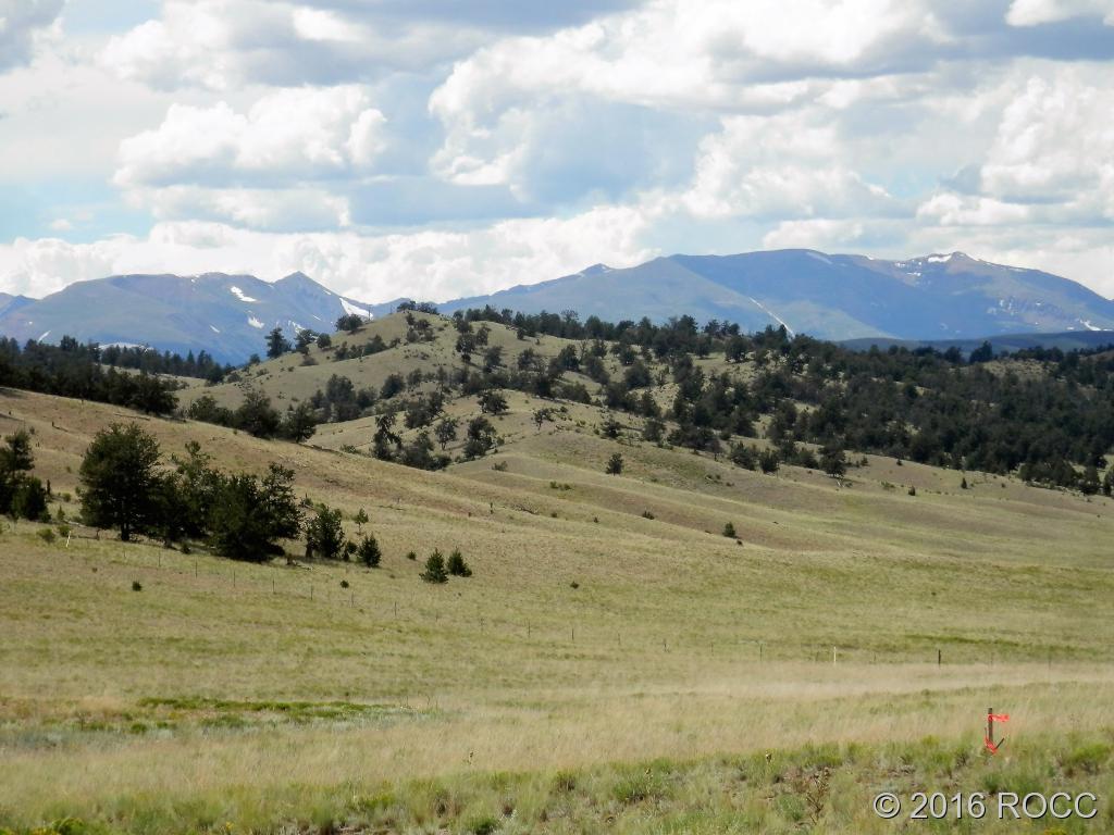 3228 Fitzsimmons Road Hartsel, CO 80449 - Photo 4 of 13