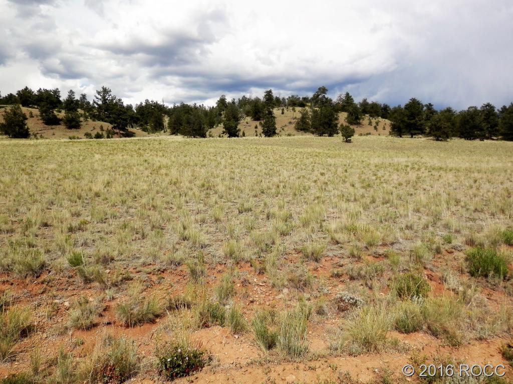 3228 Fitzsimmons Road Hartsel, CO 80449 - Photo 5 of 13