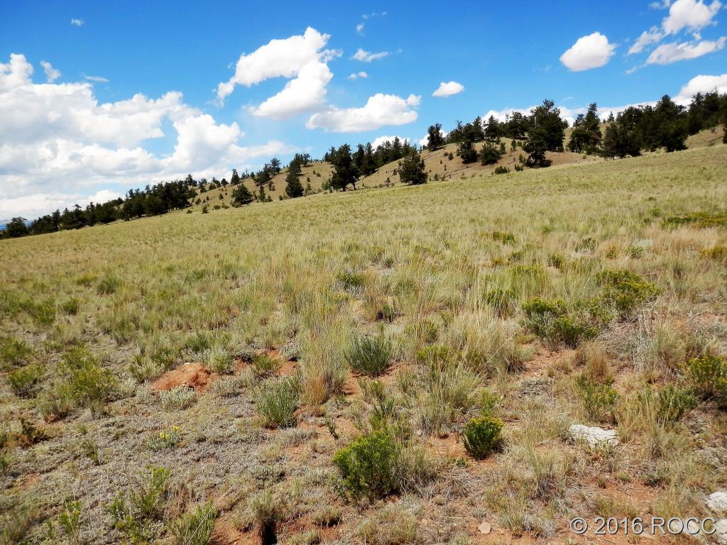 3228 Fitzsimmons Road Hartsel, CO 80449 - Photo 6 of 13