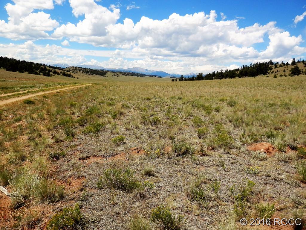 3228 Fitzsimmons Road Hartsel, CO 80449 - Photo 7 of 13