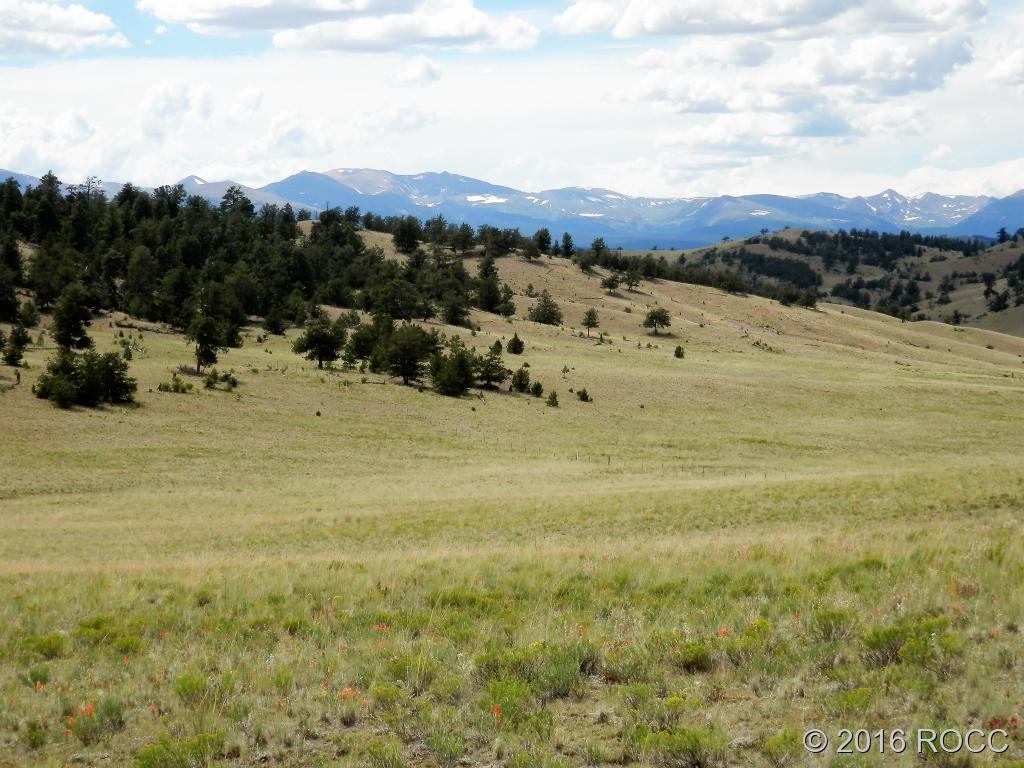 3228 Fitzsimmons Road Hartsel, CO 80449 - Photo 8 of 13