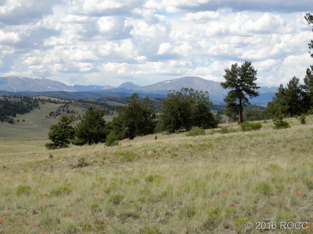 3228 Fitzsimmons Road Hartsel, CO 80449 - Photo 9 of 13
