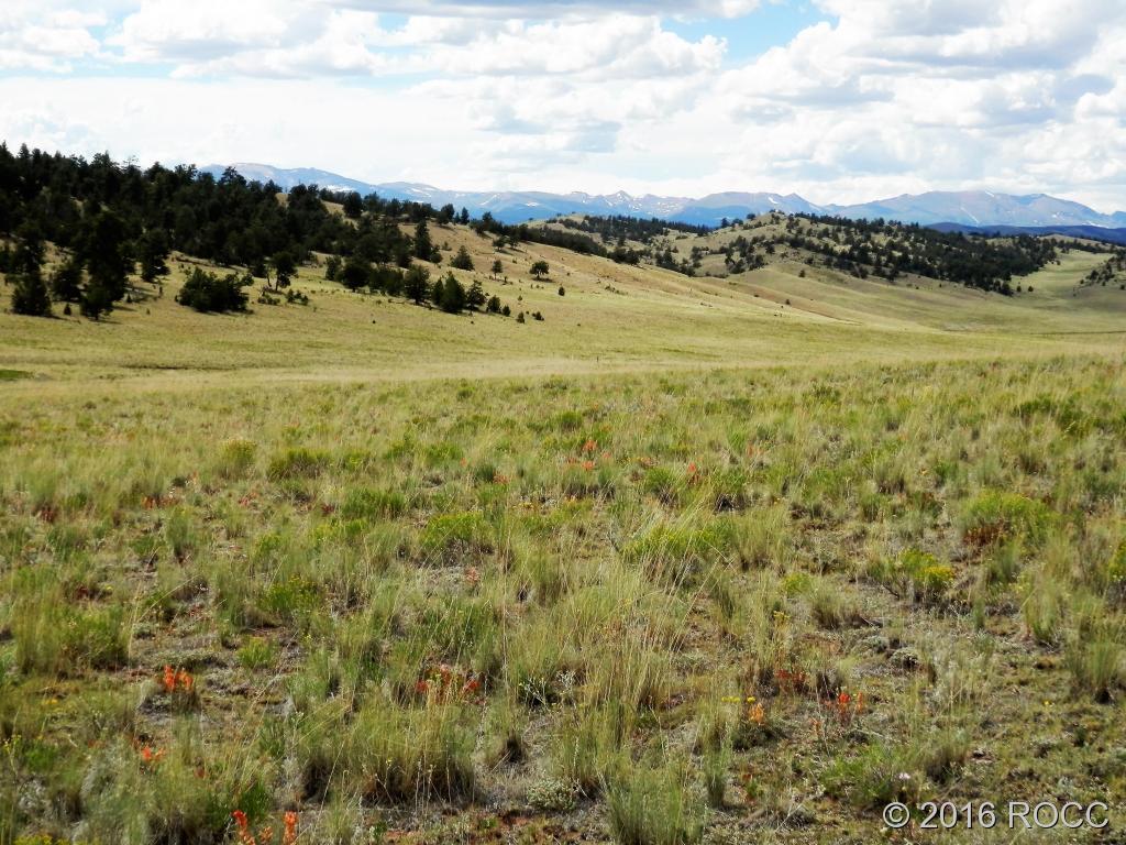 3228 Fitzsimmons Road Hartsel, CO 80449 - Photo 10 of 13