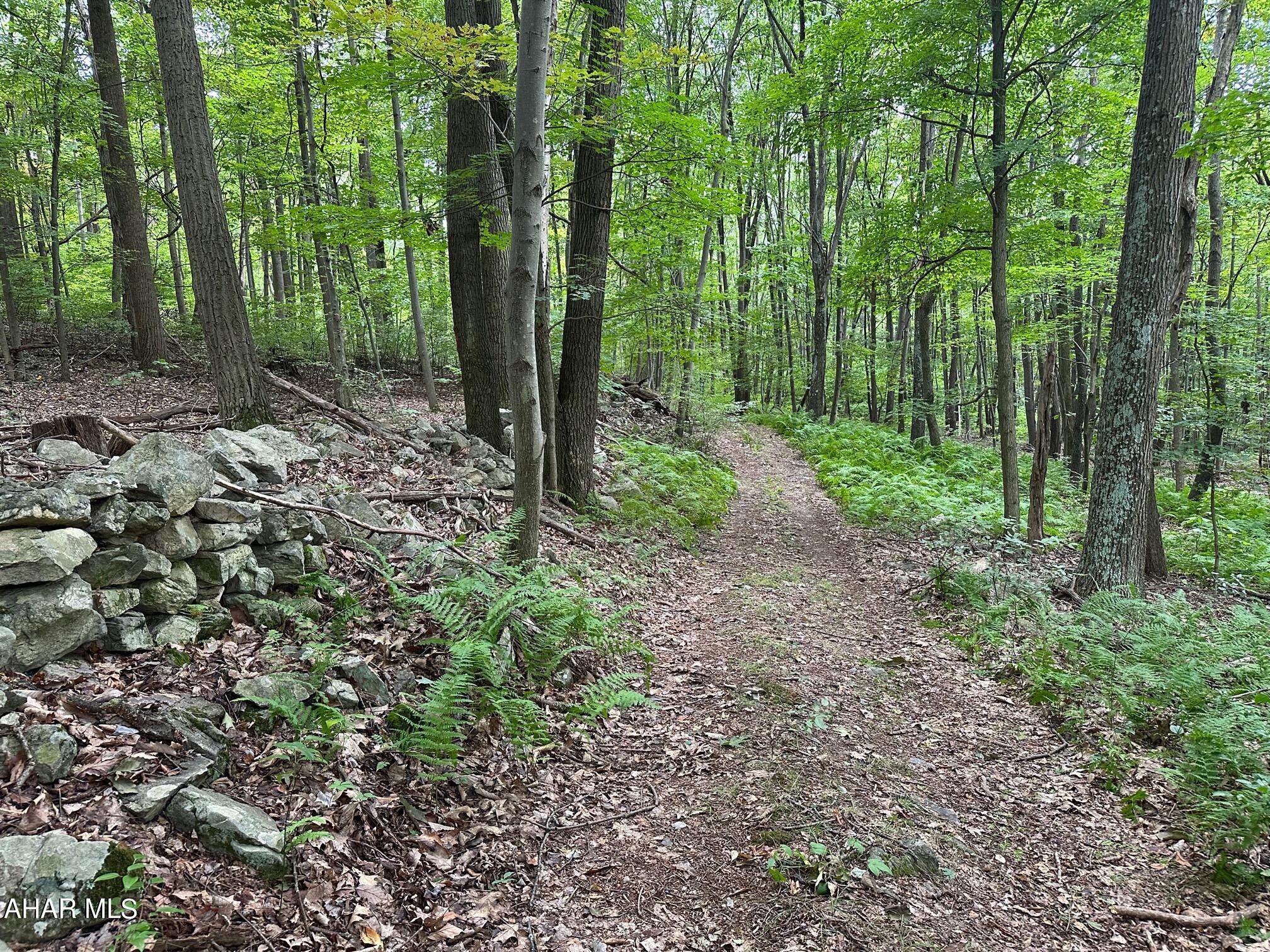 Lot #1 Louks Road Bedford, PA 15522 - Photo 5 of 11