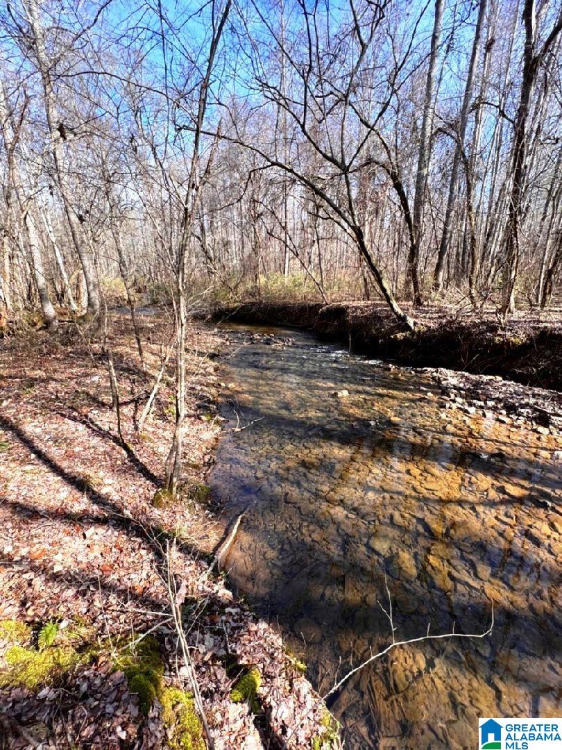 3045 Corinth Road, Unit 56 ACRES Cragford, AL 36255 - Photo 9 of 29