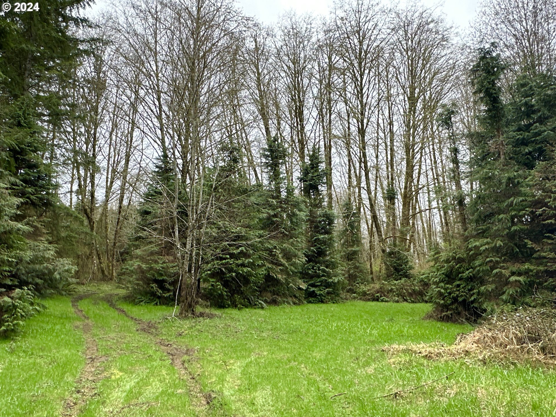 Bodine Road Clatskanie, OR 97016 - Photo 19 of 34