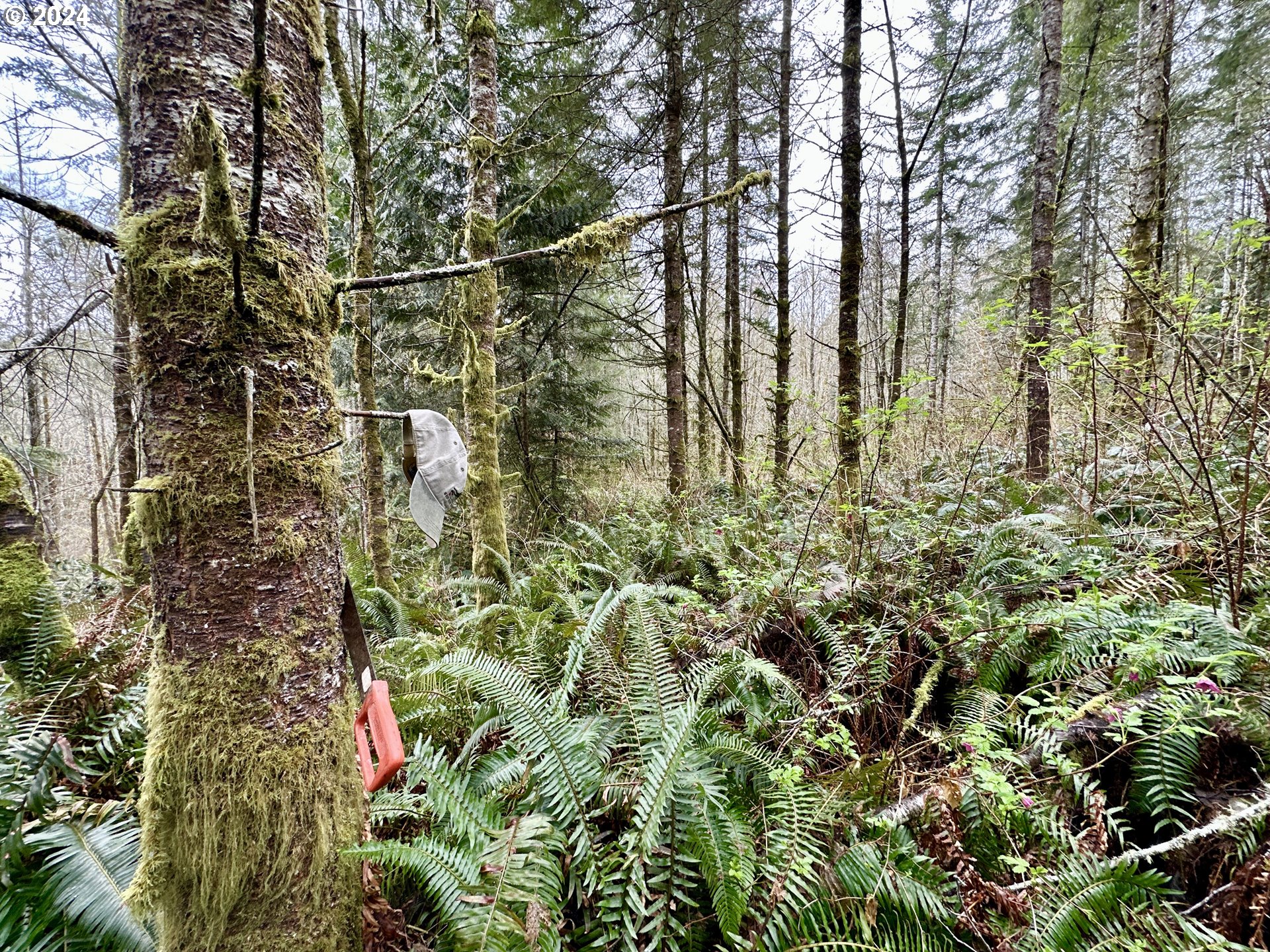 Bodine Road Clatskanie, OR 97016 - Photo 24 of 34