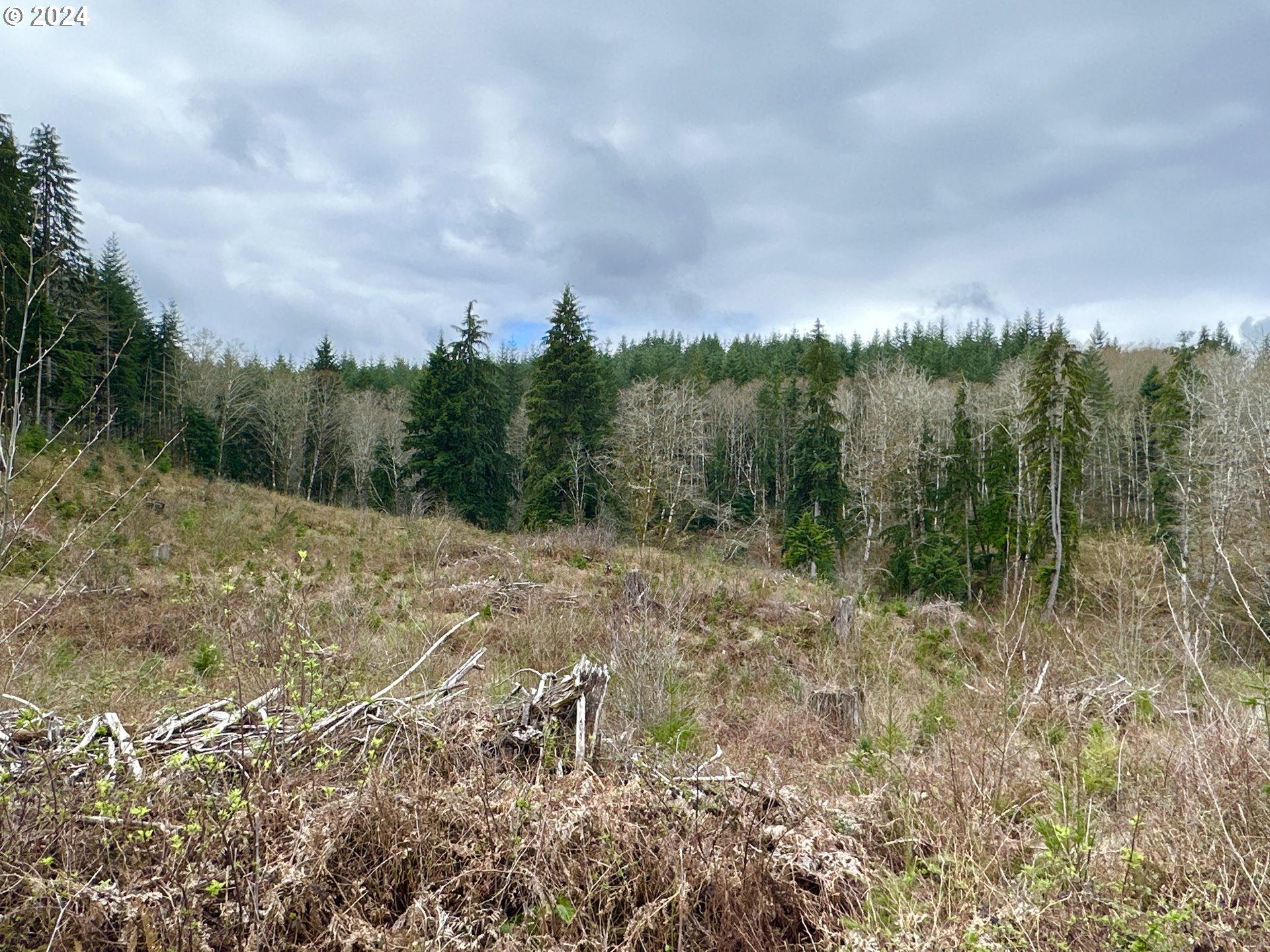 Bodine Road Clatskanie, OR 97016 - Photo 28 of 34