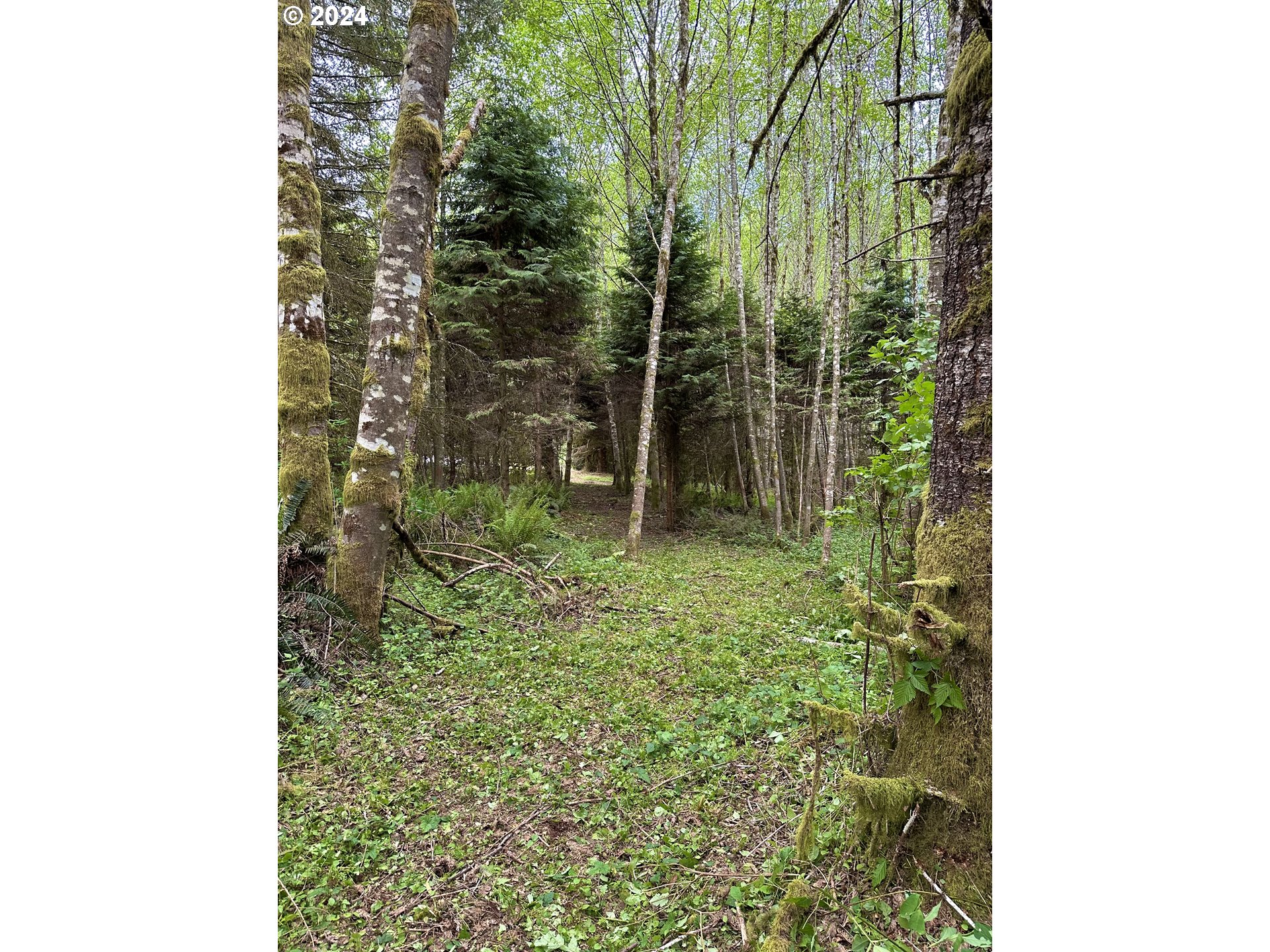 Bodine Road Clatskanie, OR 97016 - Photo 34 of 34