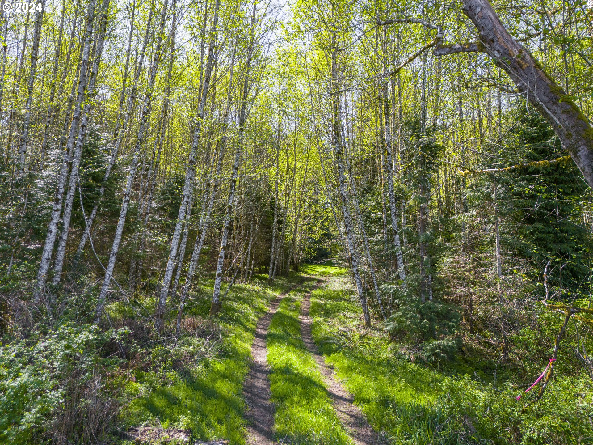 Bodine Road Clatskanie, OR 97016 - Photo 5 of 34