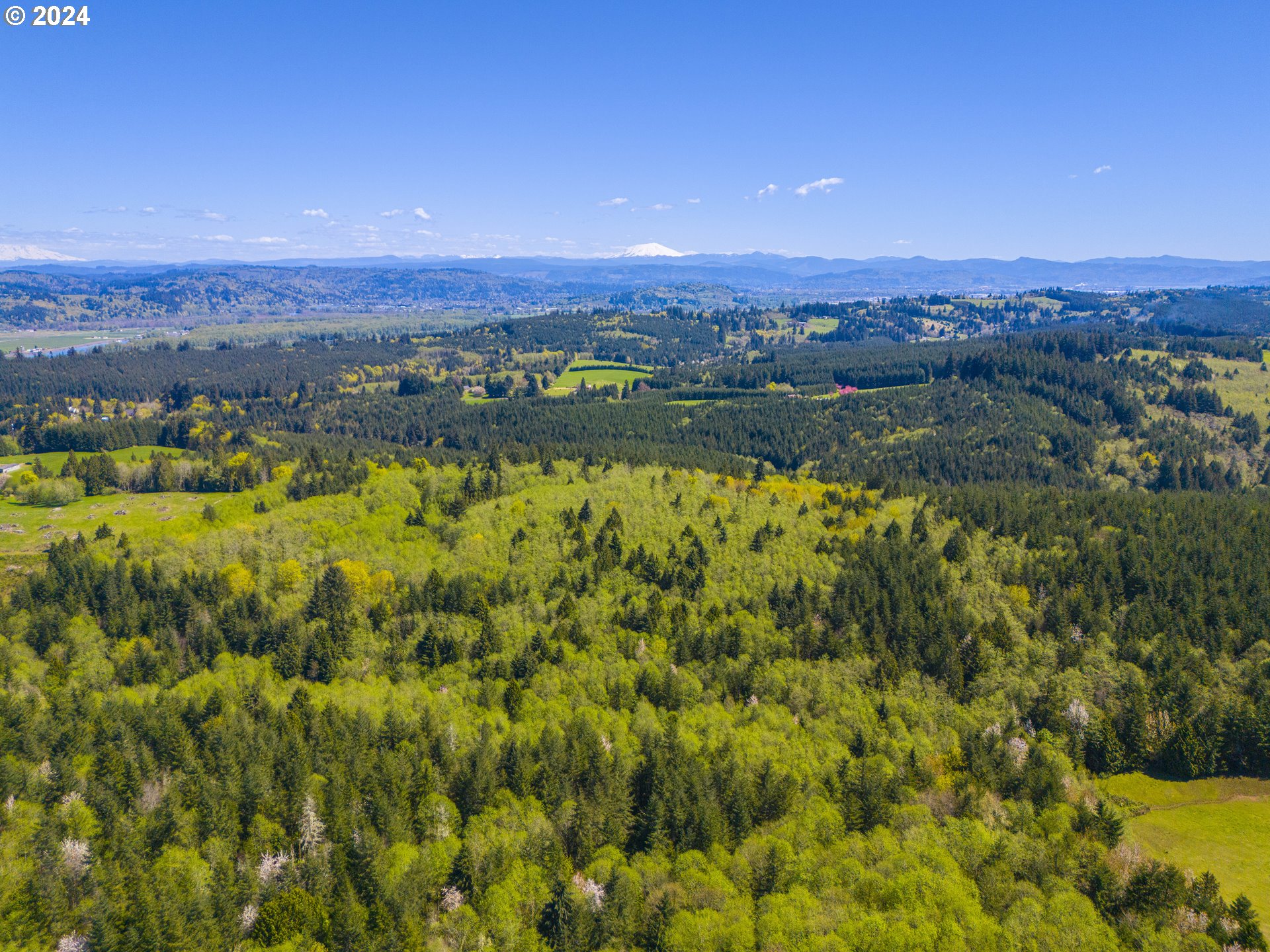 Bodine Road Clatskanie, OR 97016 - Photo 9 of 34 View