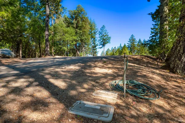 a view of a yard with a tree
