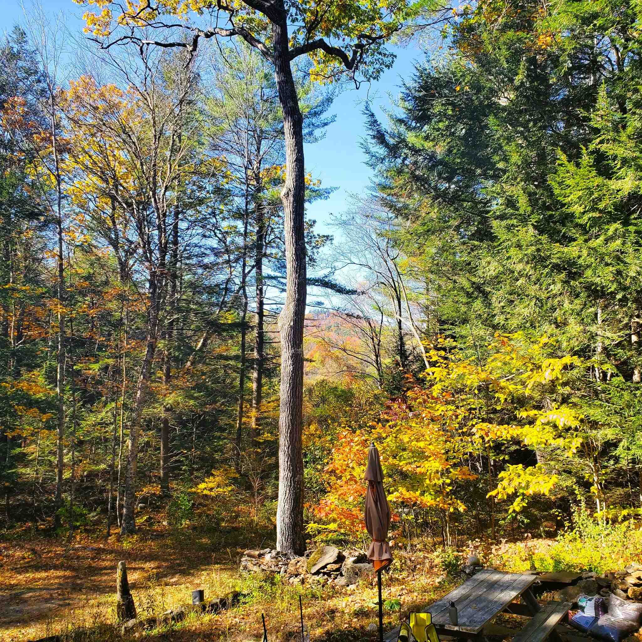 346 Akley Road Brattleboro, VT 05301 - Photo 12 of 34