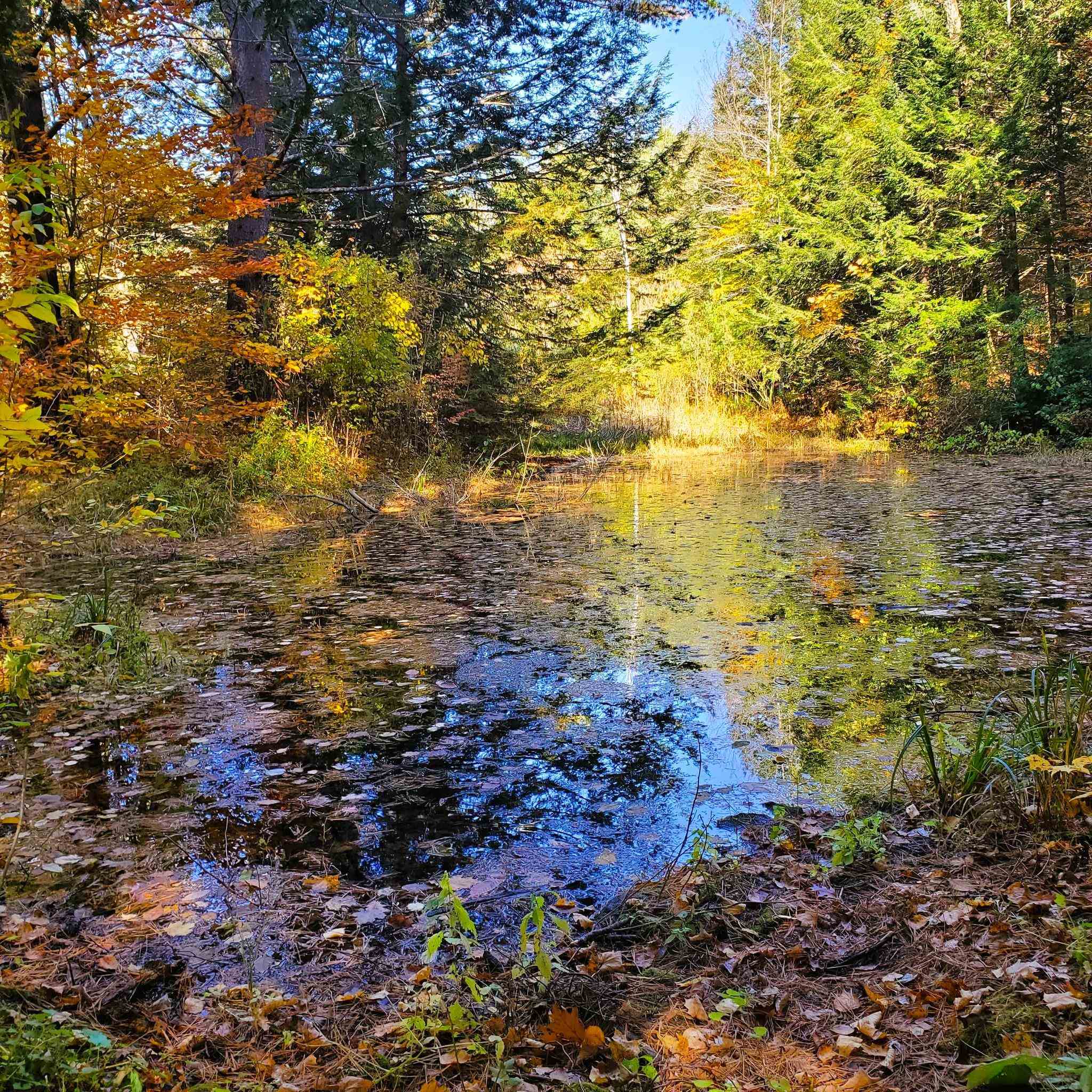 346 Akley Road Brattleboro, VT 05301 - Photo 13 of 34