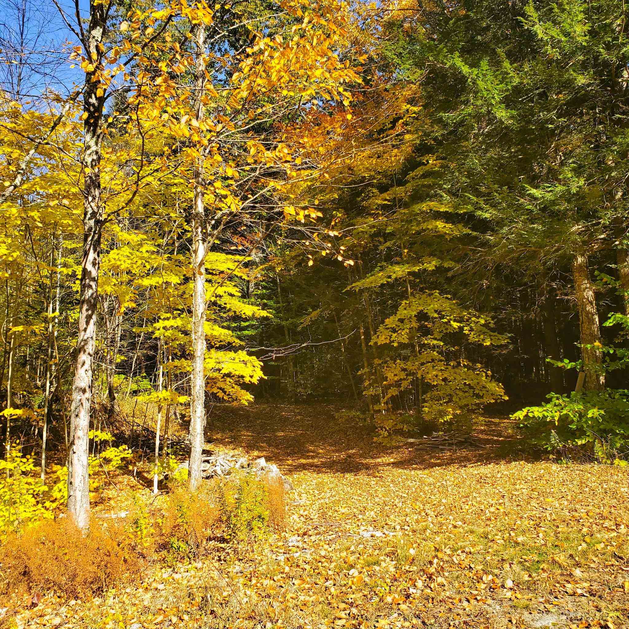 346 Akley Road Brattleboro, VT 05301 - Photo 30 of 34