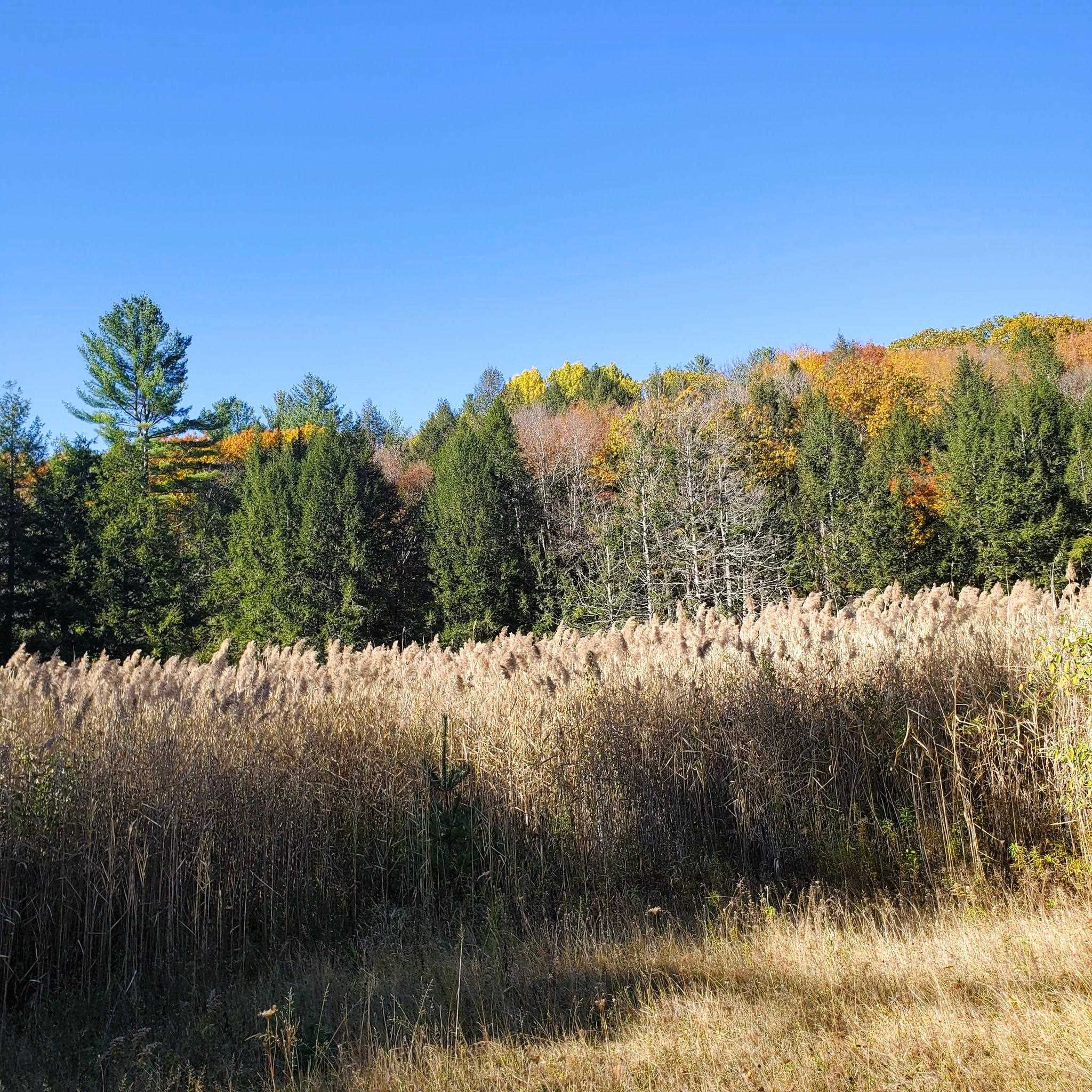 346 Akley Road Brattleboro, VT 05301 - Photo 33 of 34