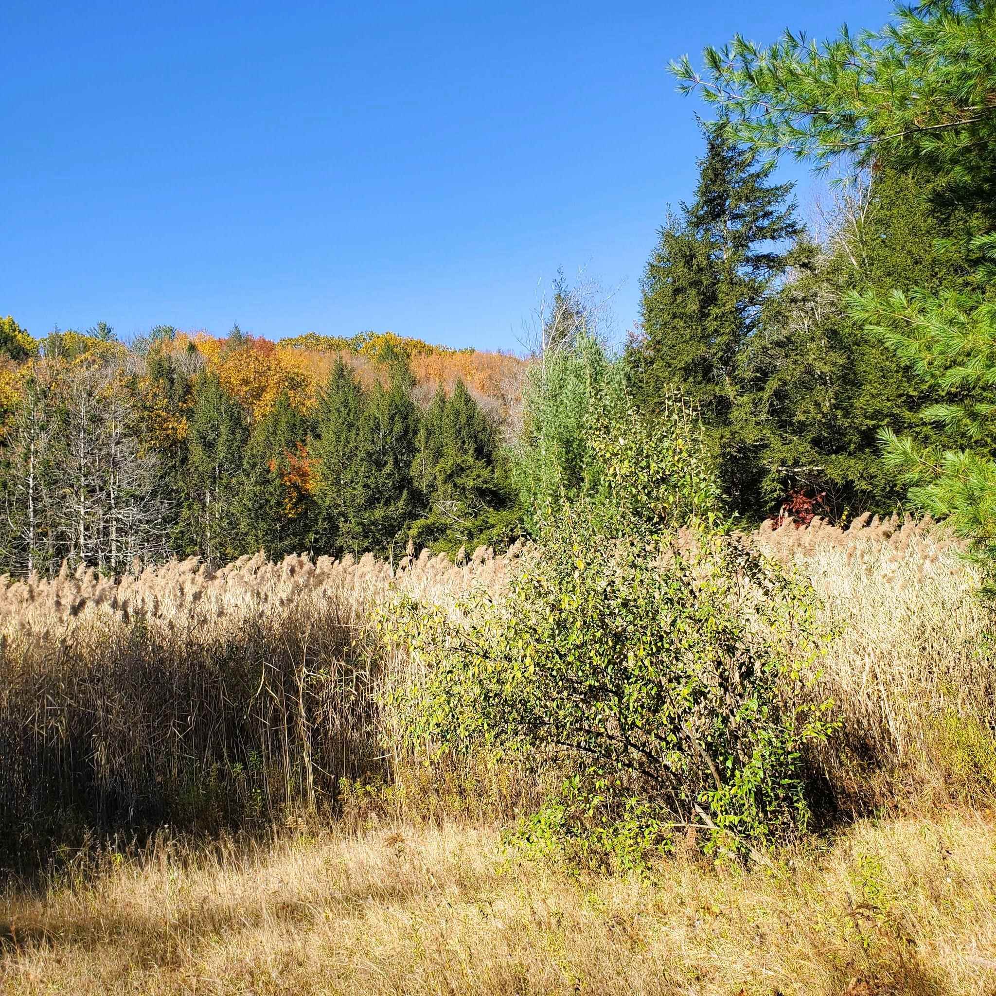 346 Akley Road Brattleboro, VT 05301 - Photo 34 of 34