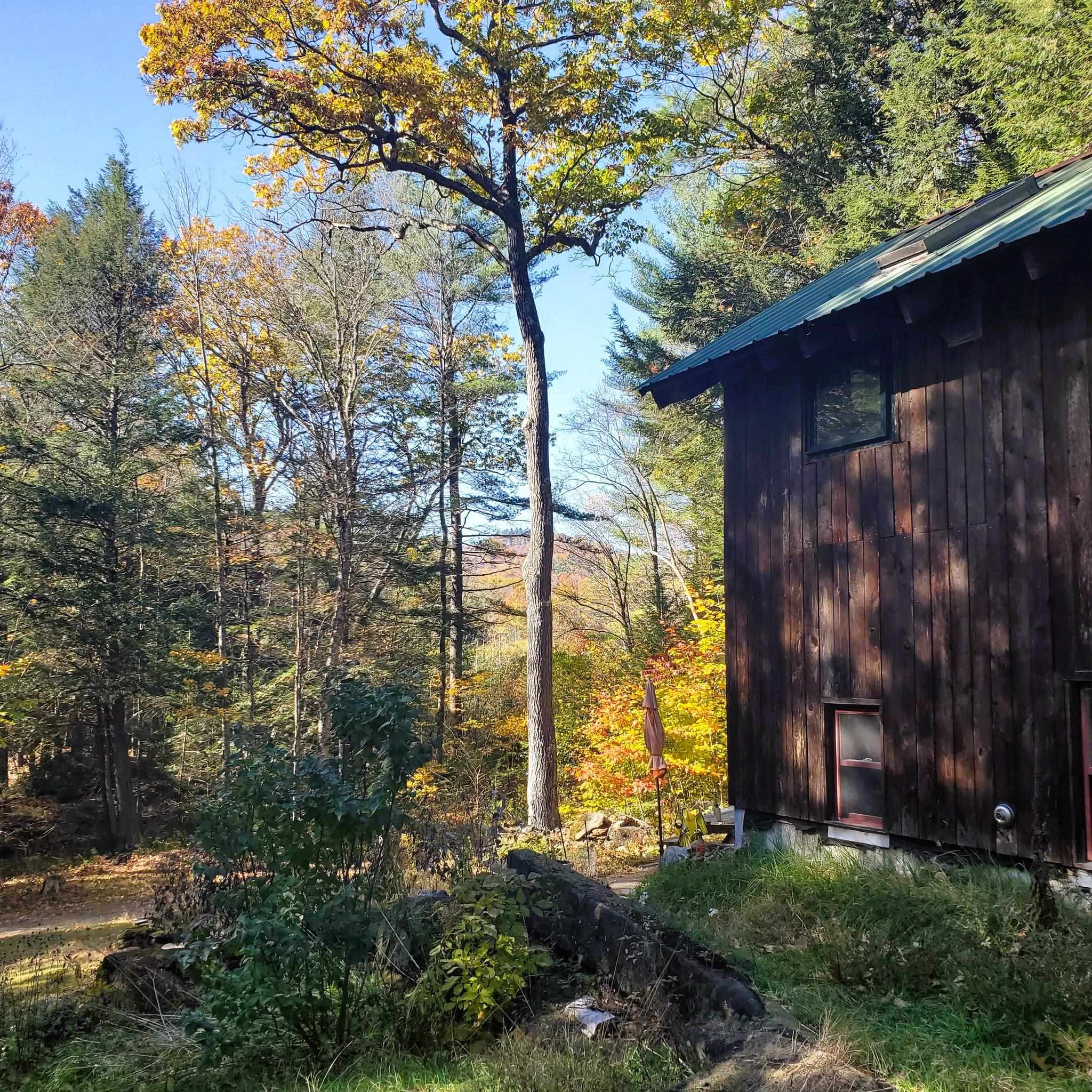 346 Akley Road Brattleboro, VT 05301 - Photo 6 of 34