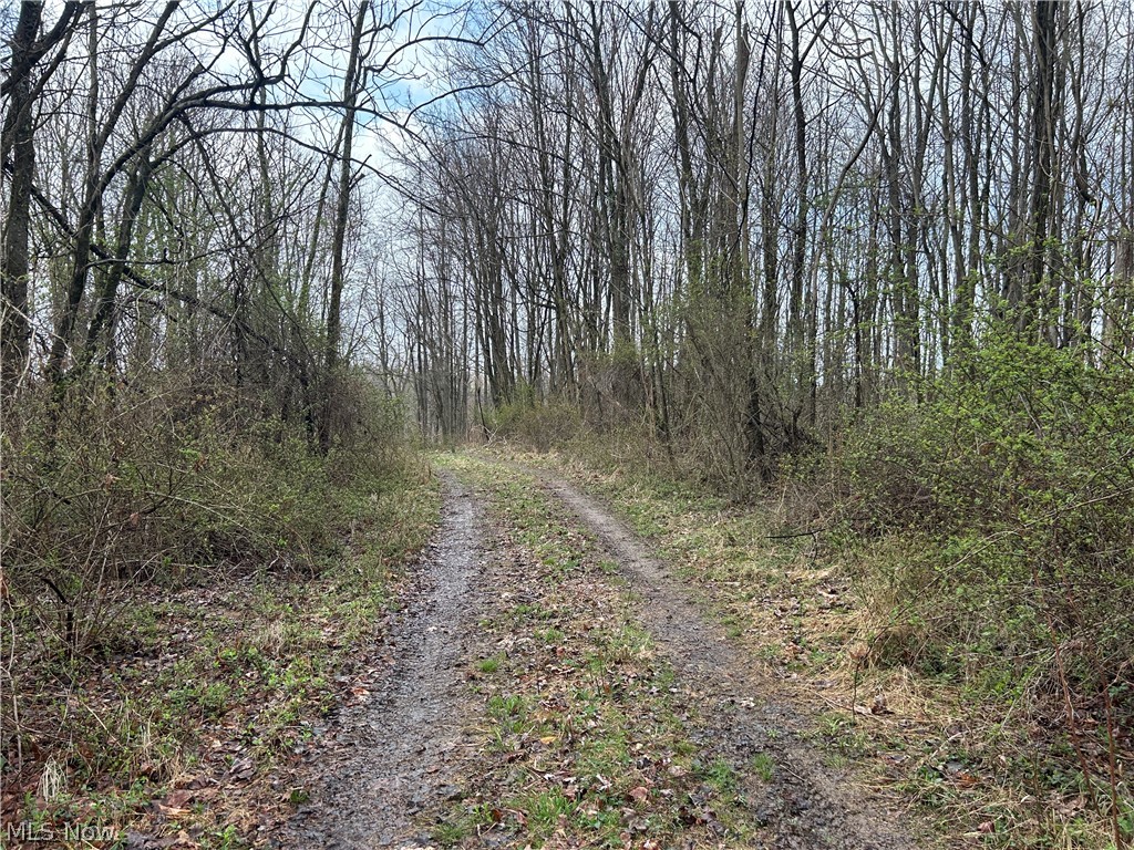 Wilbur Bush Road Crooksville, OH 43731 - Photo 12 of 19