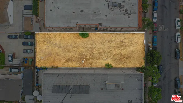 view of the back yard