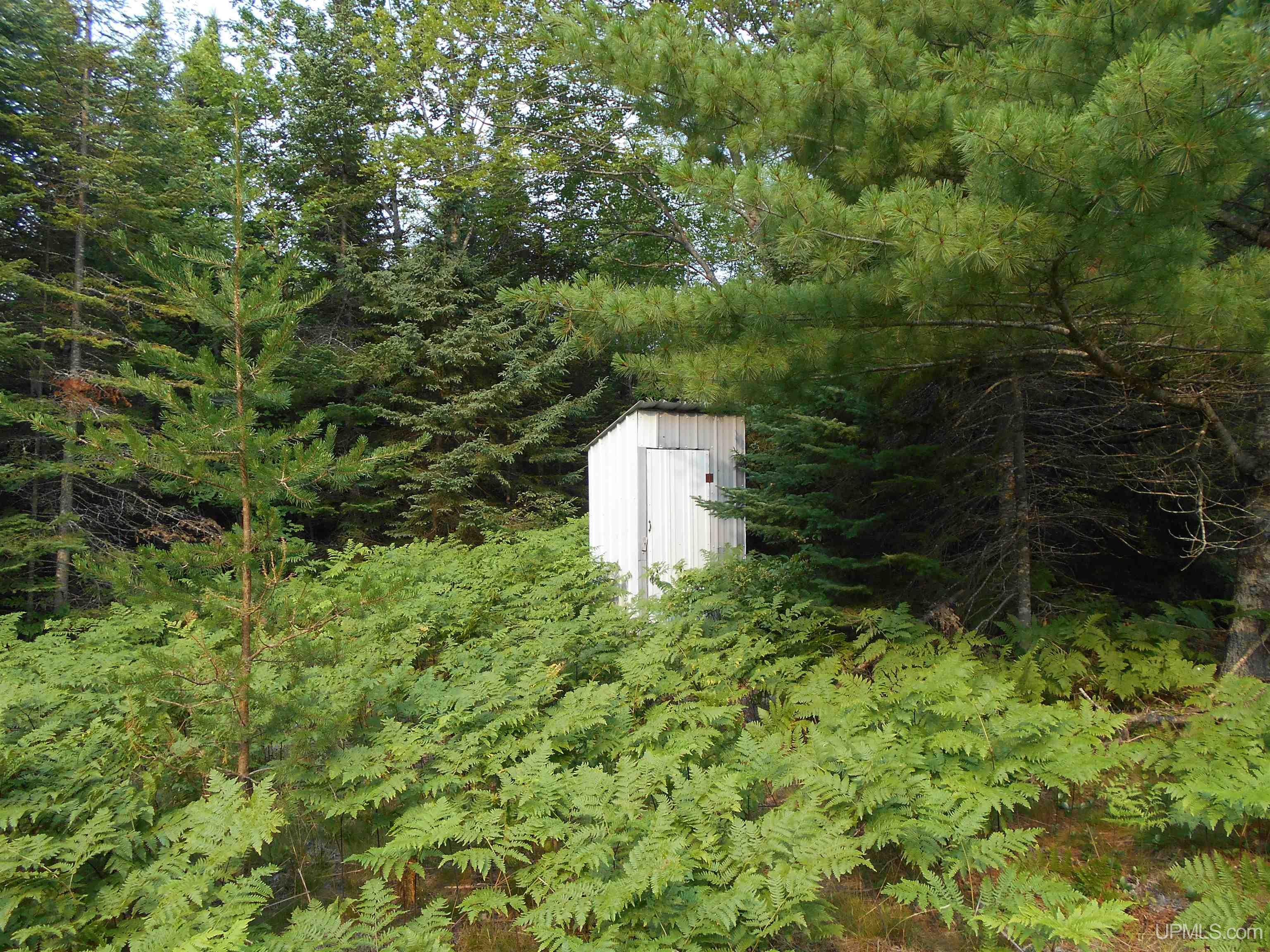 40-acres Garden Grade Road Garden, MI 49817 - Photo 6 of 51