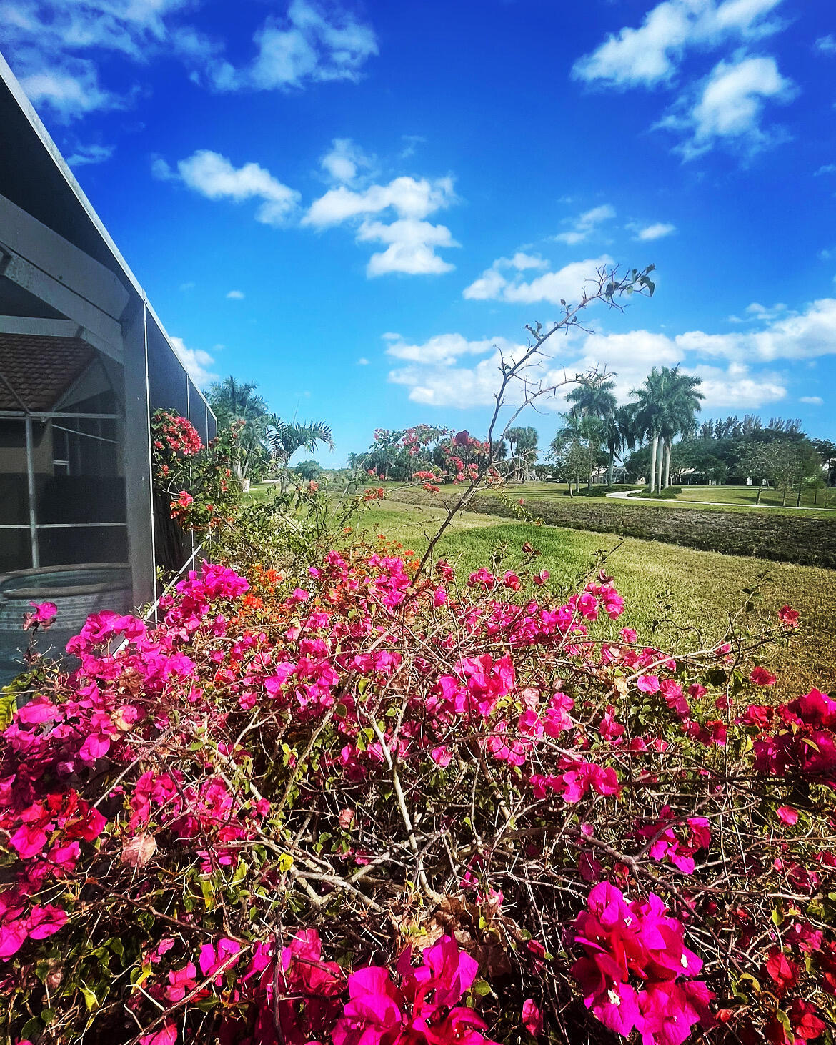 7754 Monarch Court Delray Beach, FL 33446 - Photo 9 of 20 Backyard